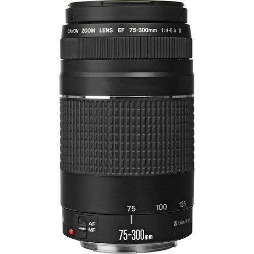 Canon EF 75-300mm f/4-5.6 III Objektiv – Bild 2